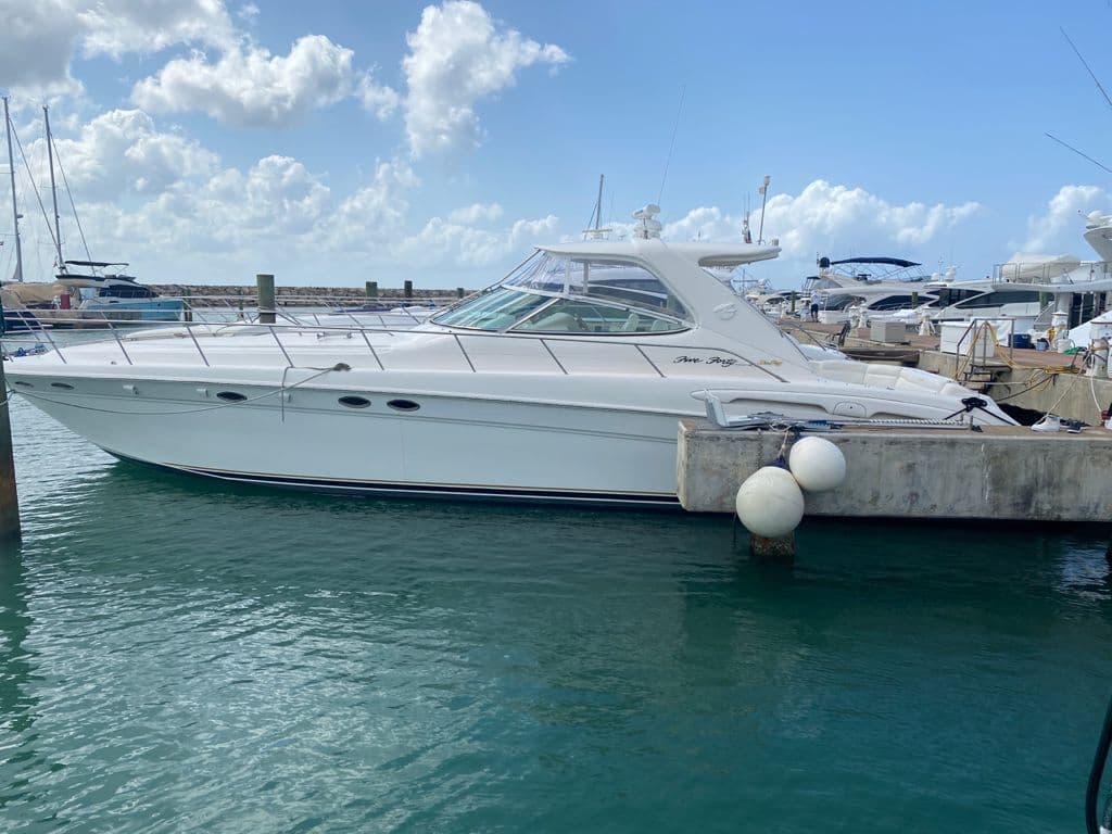 Sea Ray 54